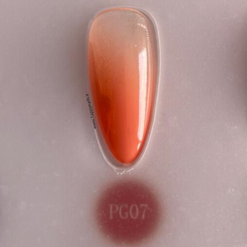 Farbschlamm-Gel V21 5 g