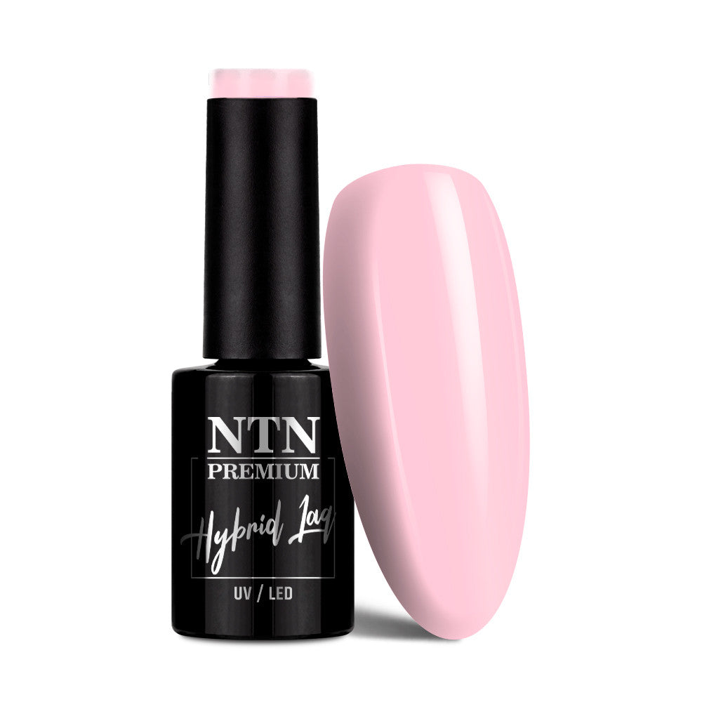 Hybrid Laq Delight Sorbet Collection 148 5 g