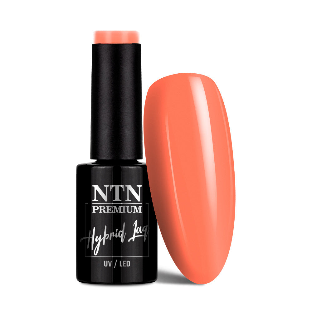Hybrid Laq Delight Sorbet Collection 152,5 g