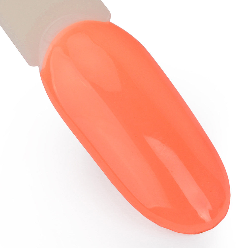 Hybrid Laq Delight Sorbet Collection 152,5 g
