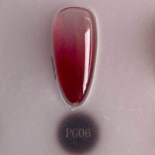 Farbschlamm-Gel V21 5 g