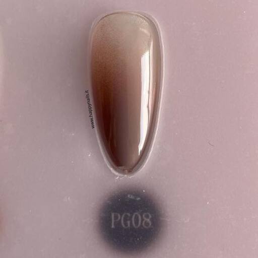 Farbschlamm-Gel V21 5 g