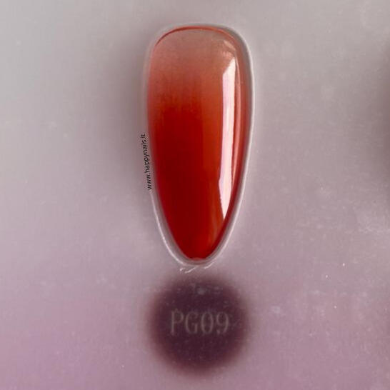 Pat Ombre Gel PG09 5 g