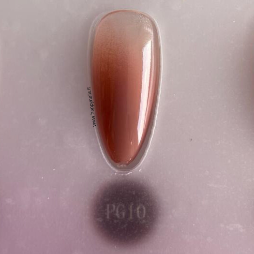 Farbschlamm-Gel V21 5 g