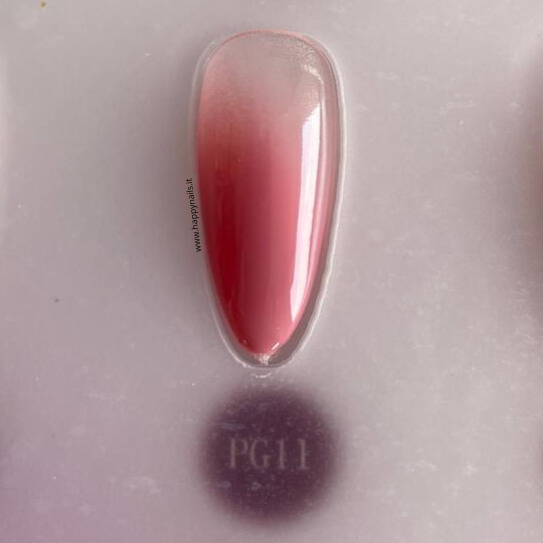 Farbschlamm-Gel V21 5 g