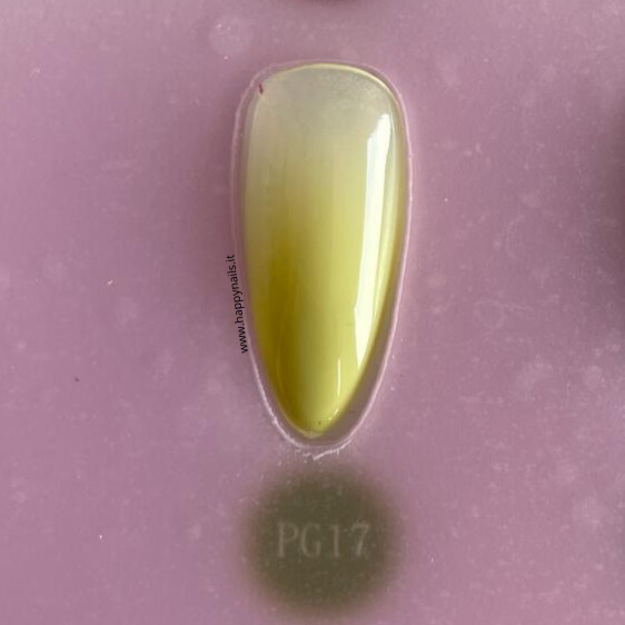 Farbschlamm-Gel V21 5 g