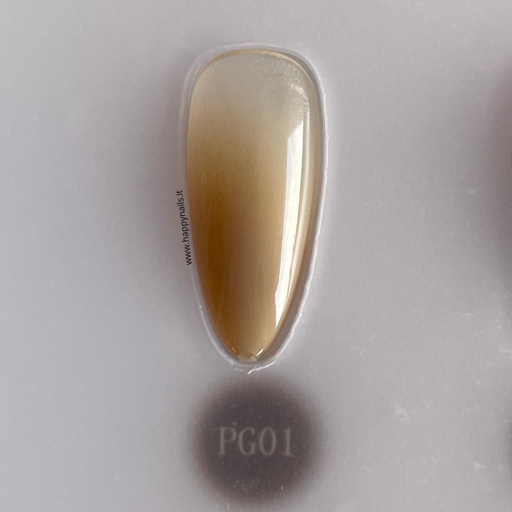 Farbschlamm-Gel V21 5 g