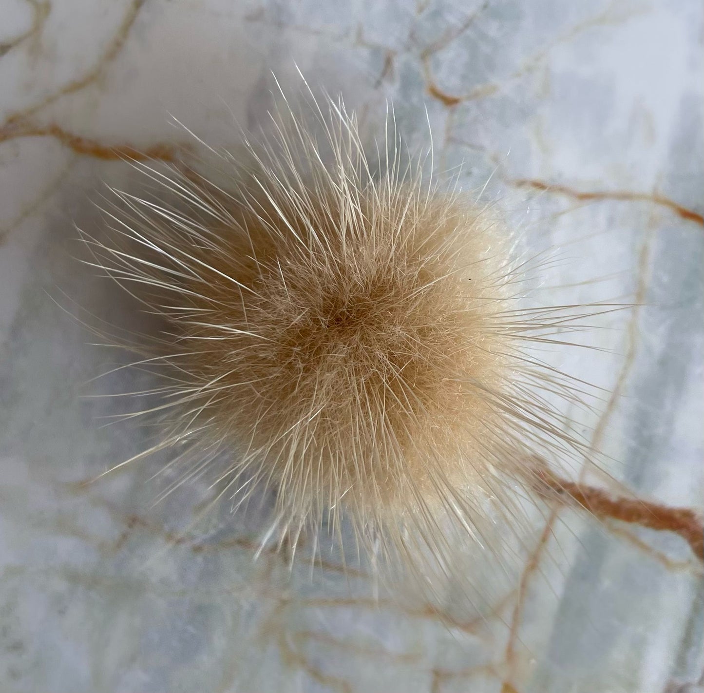 Pompon Beige