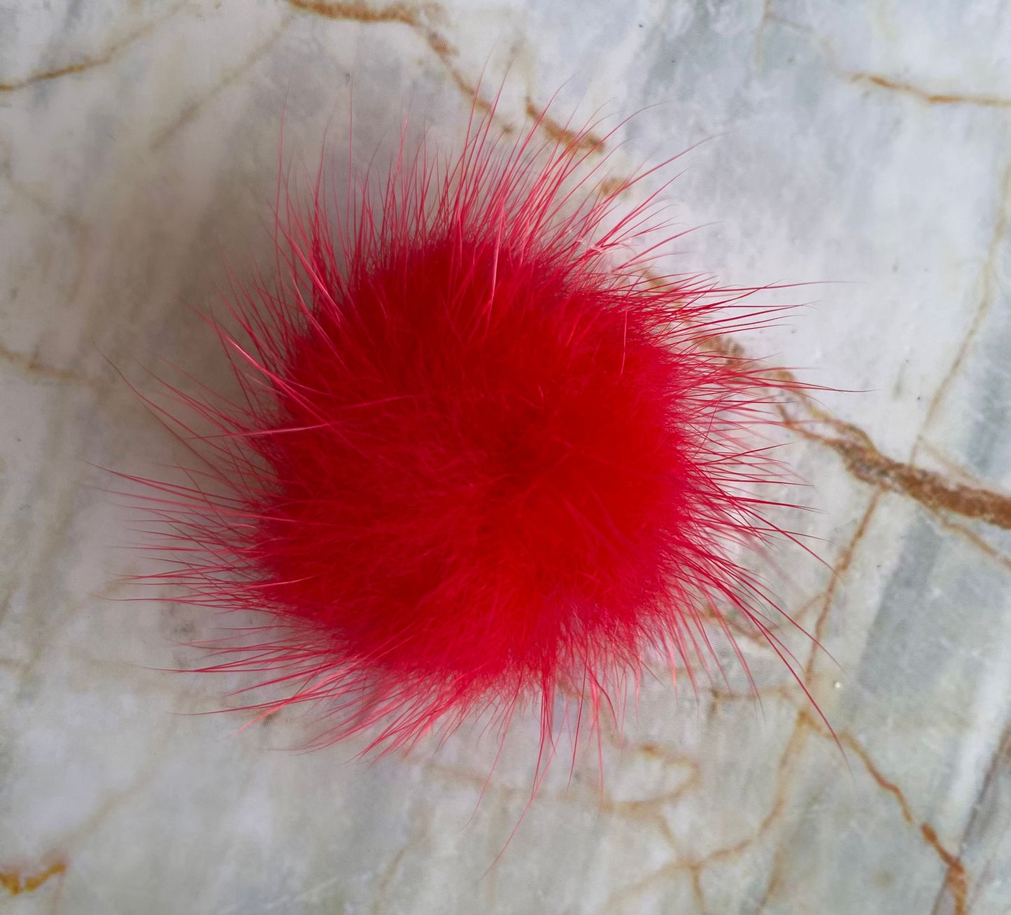 Pompon Rot