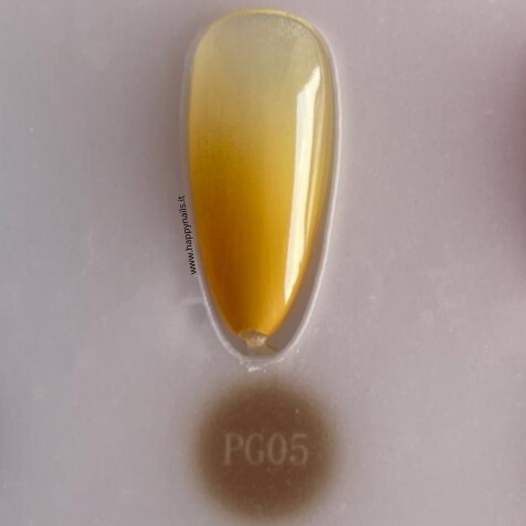 Farbschlamm-Gel V21 5 g